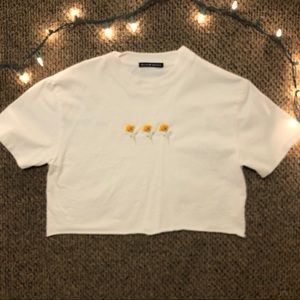 Brandy Melville Crop T
